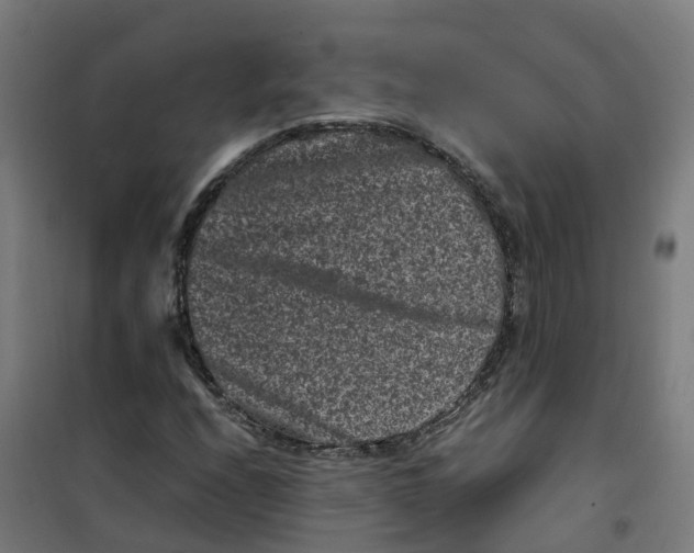 X0000100381208200807031917
