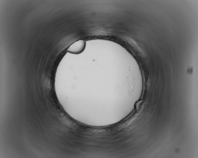 X0000100381209200807031917