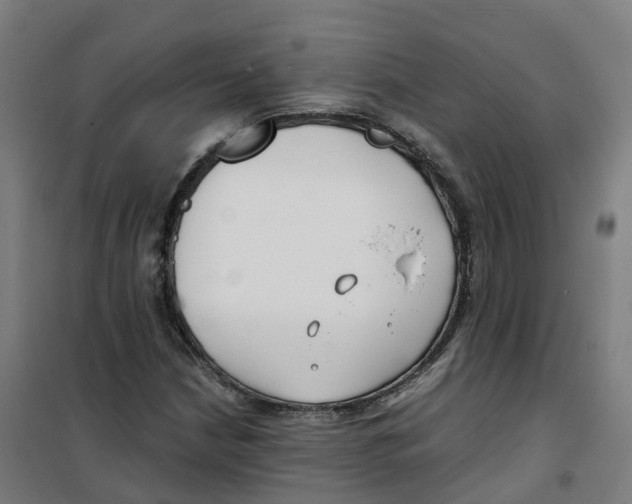 X0000100381210200807031917
