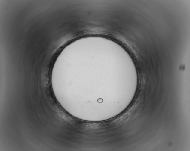 X0000100381211200807031917