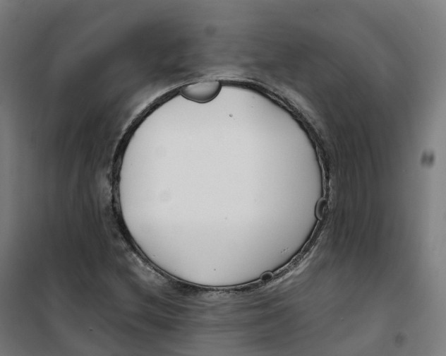 X0000100381212200807031917