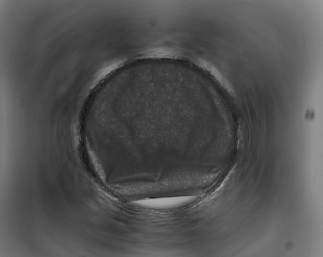 X0000100381213200807031917