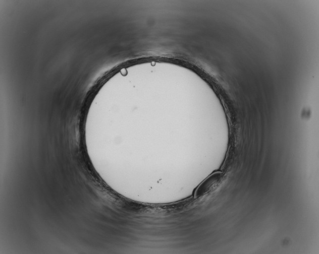 X0000100381214200807031917
