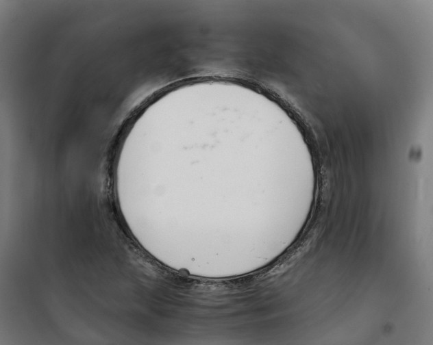 X0000100381215200807031917