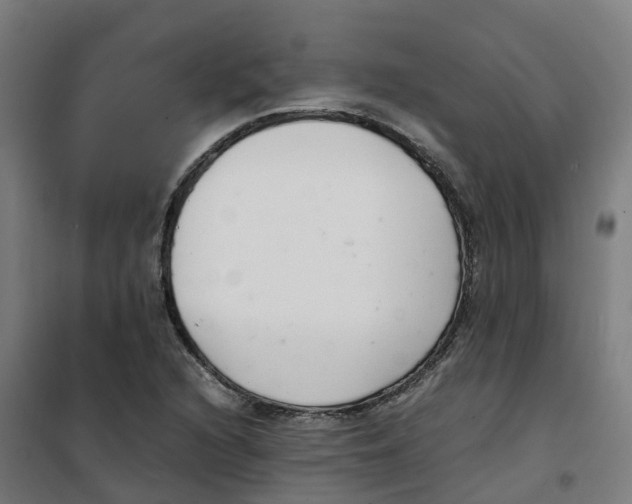 X0000100381216200807031917