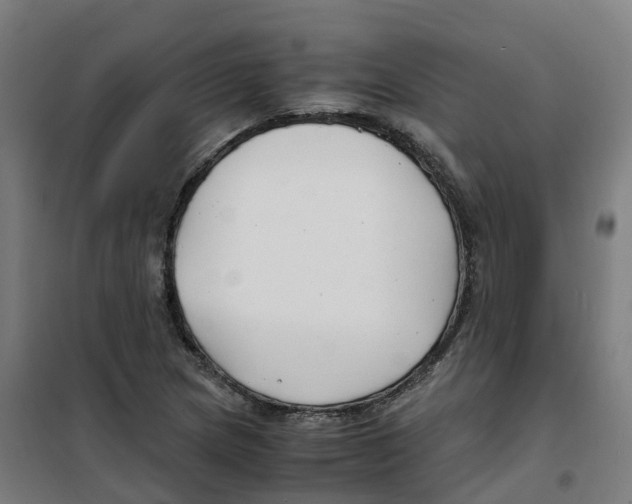 X0000100381217200807031917