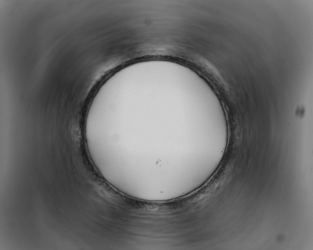 X0000100381218200807031917