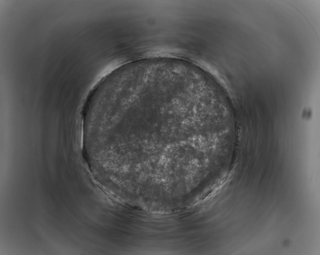 X0000100381219200807031917