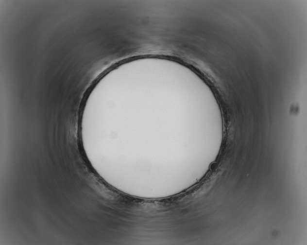 X0000100381220200807031917