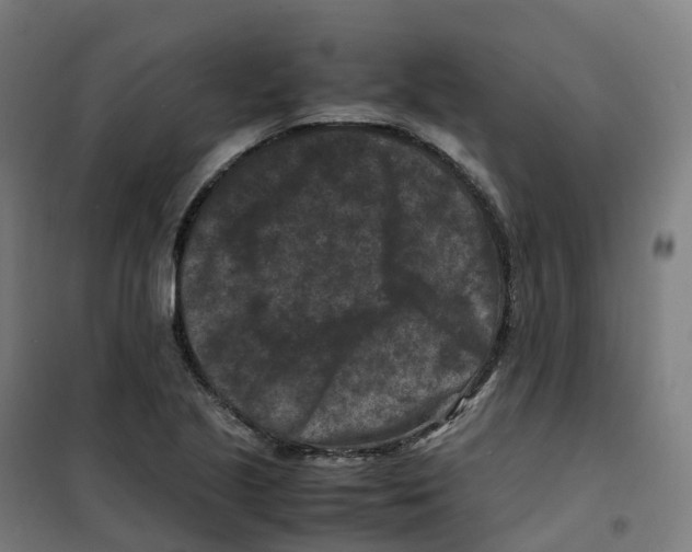 X0000100381221200807031917