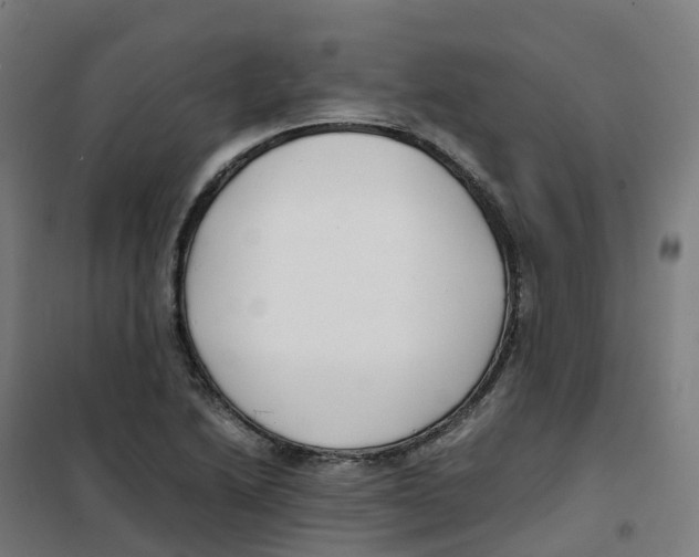 X0000100381222200807031917