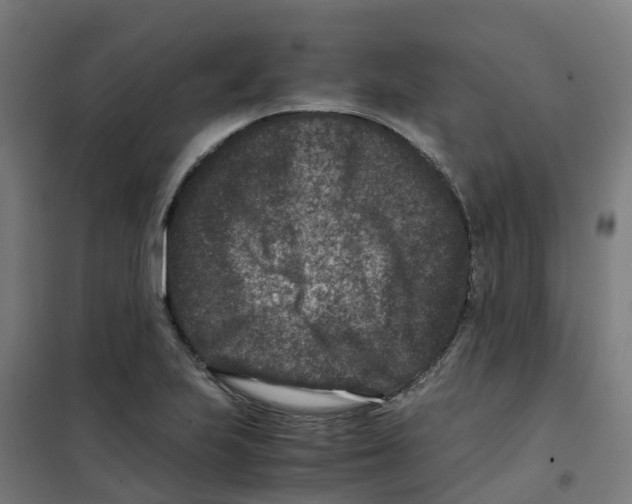 X0000100381223200807031917
