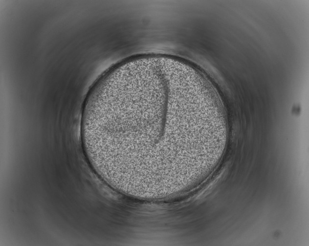 X0000100381224200807031917