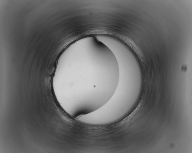 X0000100381225200807031917