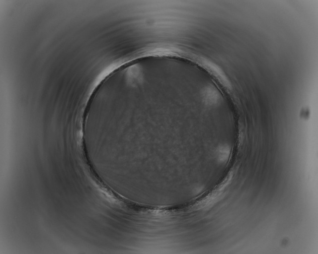 X0000100381226200807031917