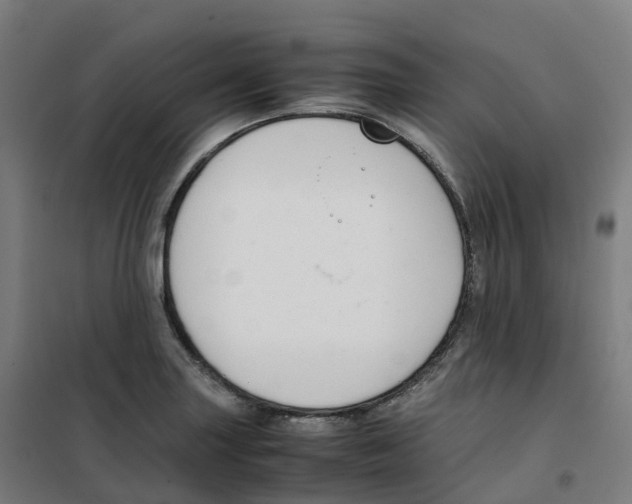 X0000100381227200807031917