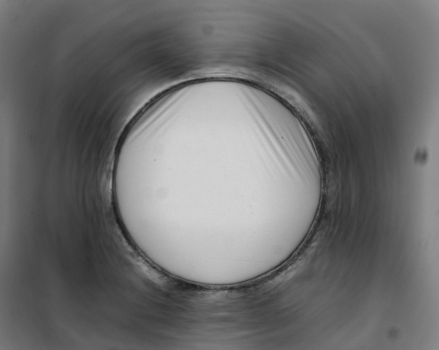 X0000100381228200807031917