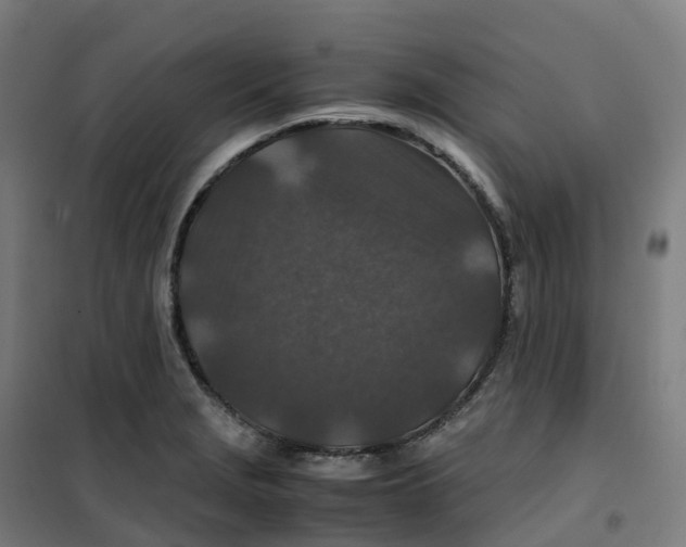 X0000100381229200807031917