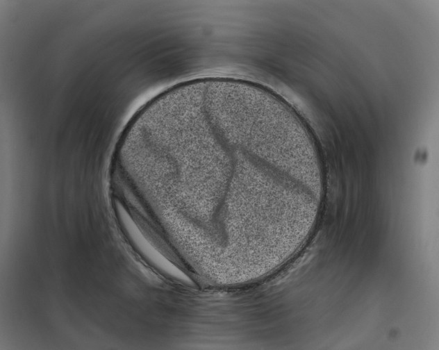 X0000100381230200807031917