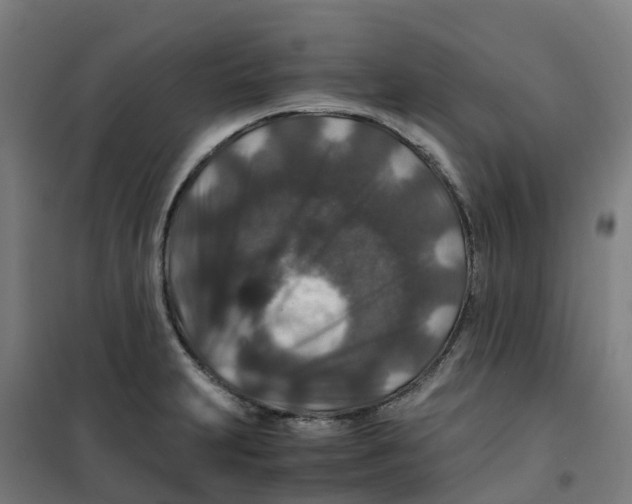 X0000100381231200807031917