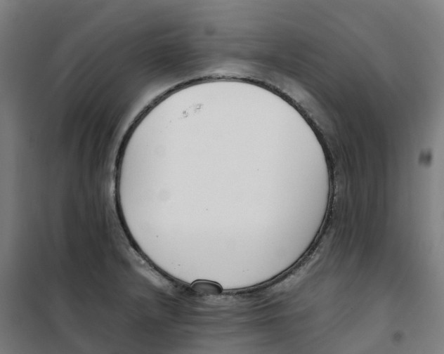X0000100381232200807031917