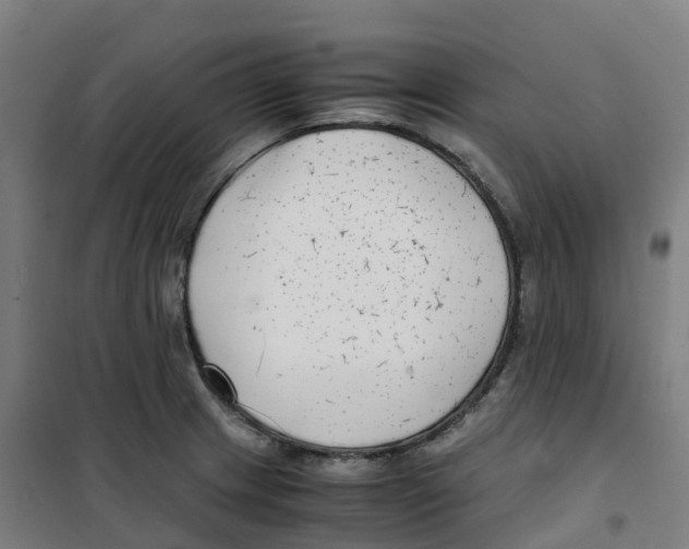 X0000100381233200807031917