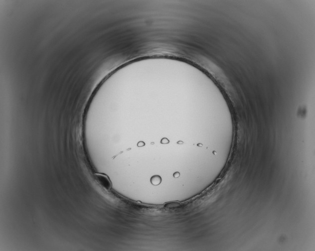 X0000100381234200807031917