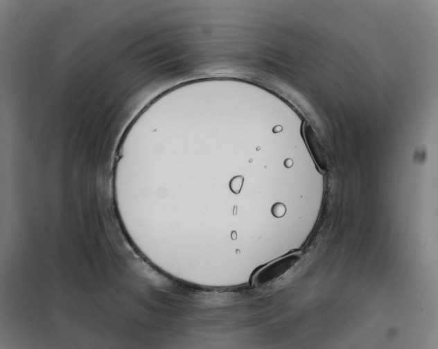 X0000100381236200807031917