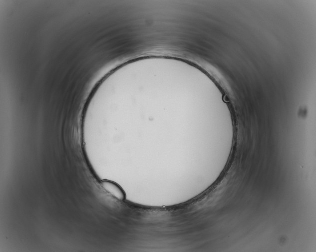 X0000100381238200807031917