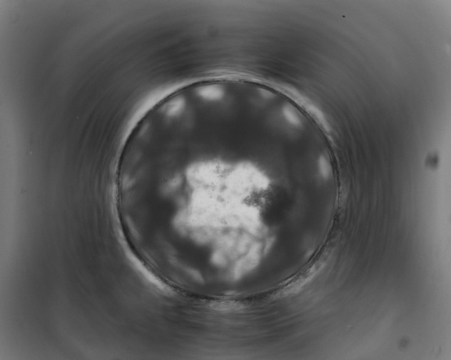 X0000100381239200807031917