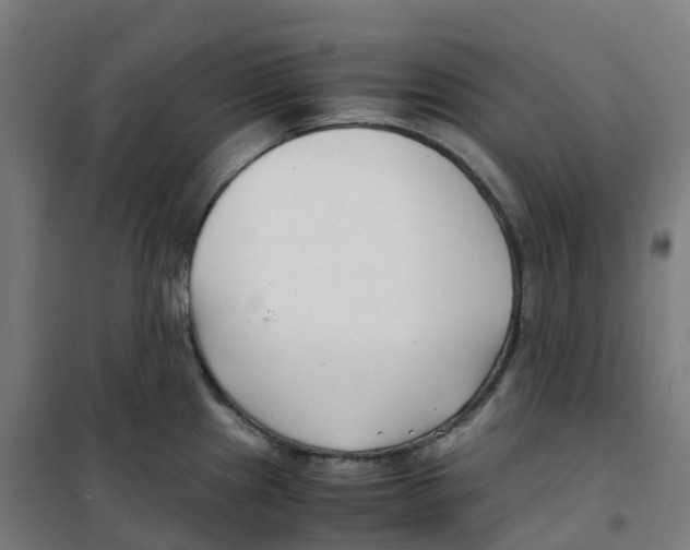 X0000100381241200807031918