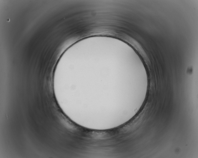 X0000100381242200807031918