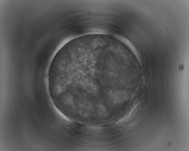 X0000100381243200807031918
