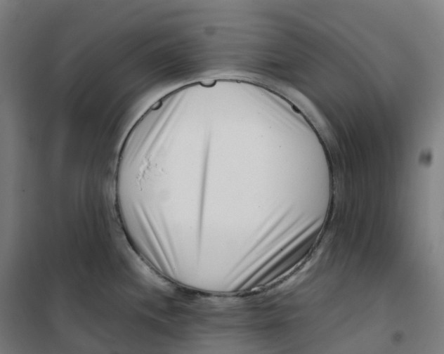 X0000100381244200807031918
