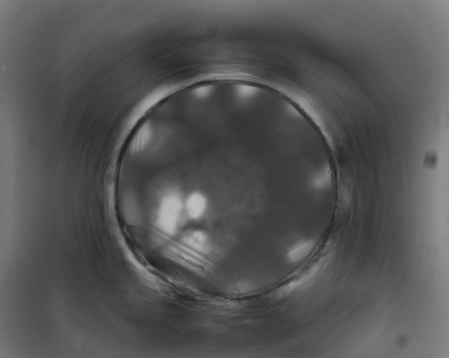 X0000100381245200807031918