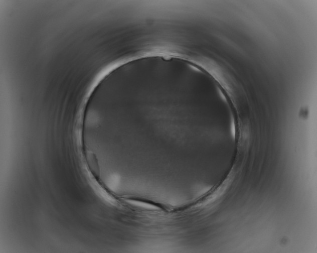 X0000100381246200807031918