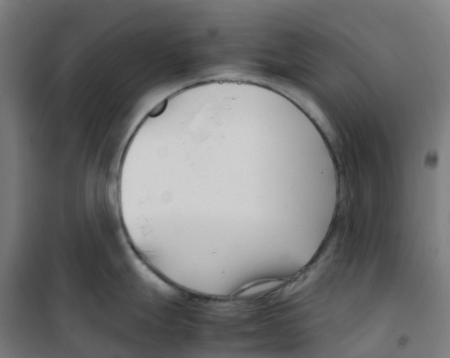 X0000100381247200807031918