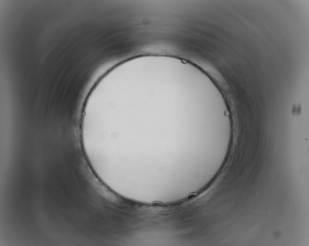 X0000100381248200807031918