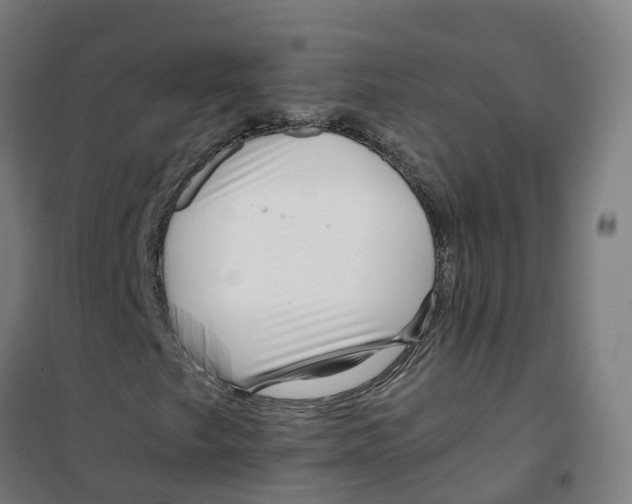 X0000100381249200807031917
