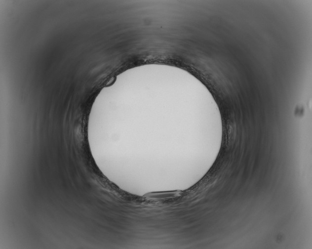 X0000100381250200807031917
