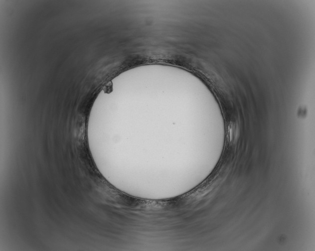 X0000100381251200807031917