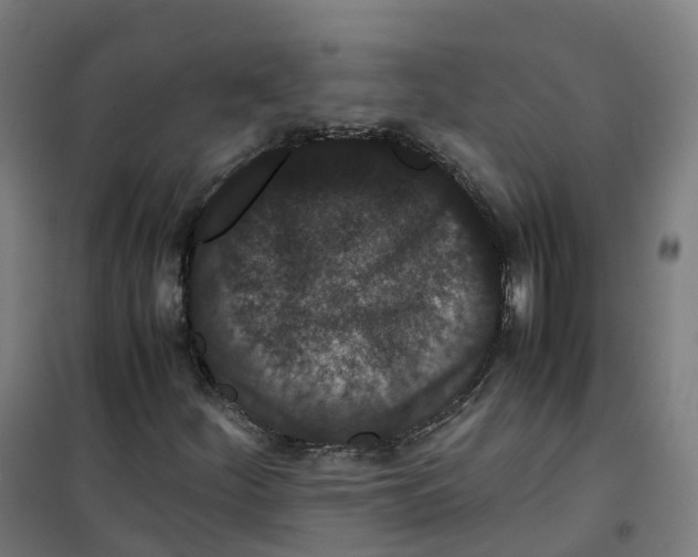 X0000100381252200807031917
