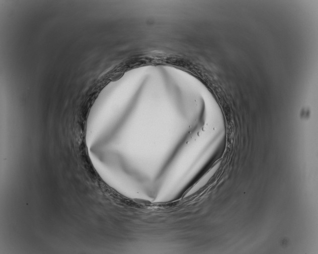 X0000100381253200807031917