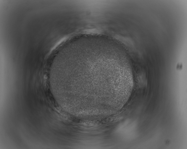 X0000100381254200807031917