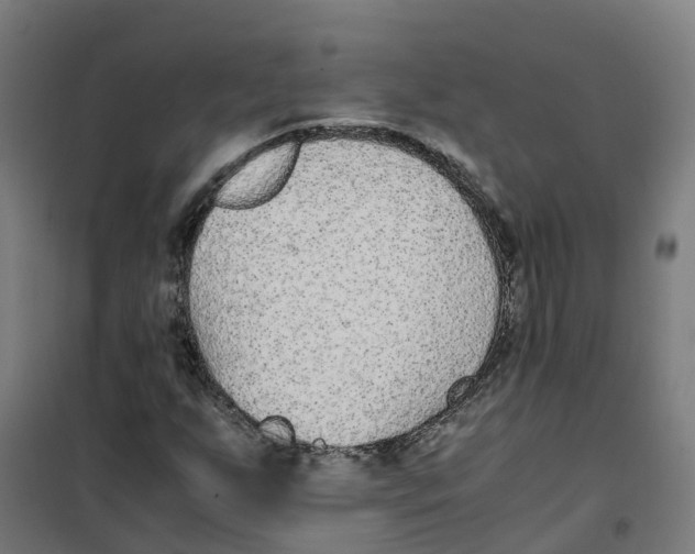 X0000100381255200807031917