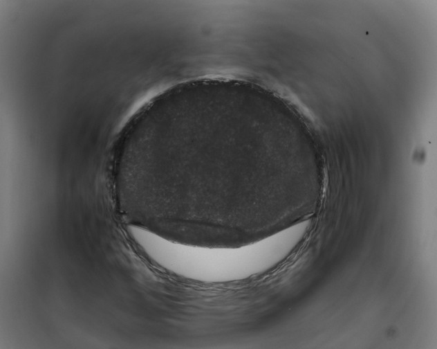 X0000100381256200807031917