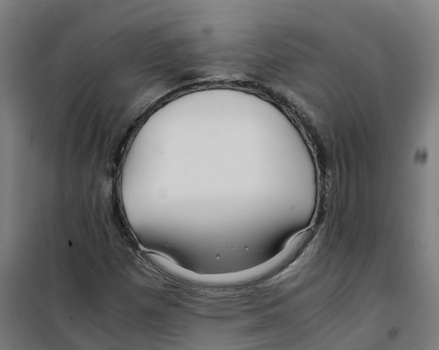 X0000100381257200807031917