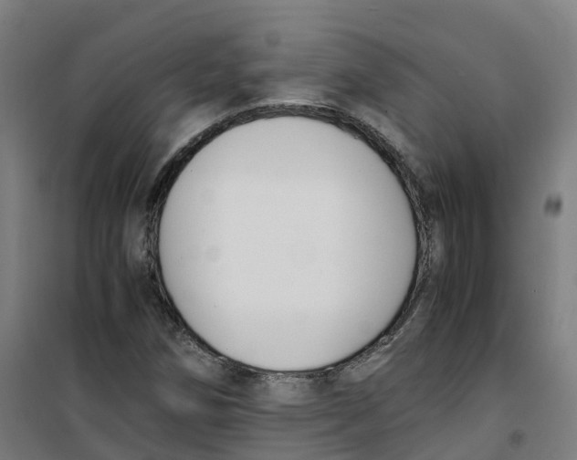 X0000100381258200807031917