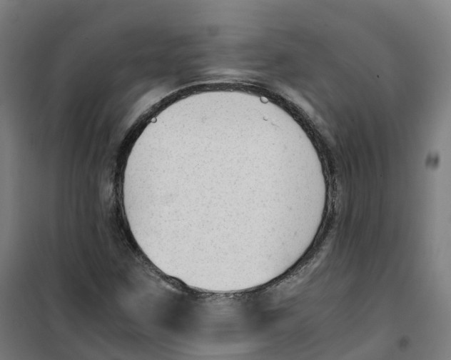 X0000100381259200807031917