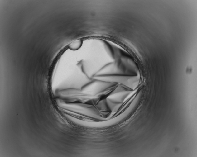 X0000100381260200807031917